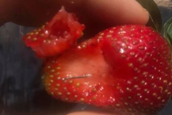 PINS IN STRAWBERRIES AND FEAR IN REAL ESTATE
