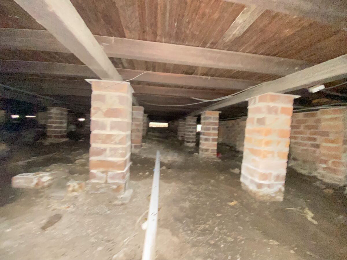 Brick pier subfloor under a timber floor, photographed during a buyer's agent inspection